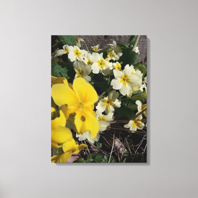 Lienzo Flores de jardín blancas y amarillas (Anverso)