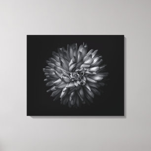 Lienzo Flores de jardín en blanco y negro 20