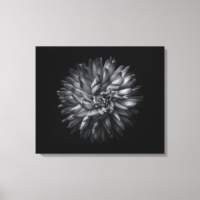 Lienzo Flores de jardín en blanco y negro 20 (Anverso)