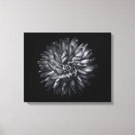 Lienzo Flores de jardín en blanco y negro 20
