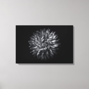 Lienzo Flores de jardín en blanco y negro 20