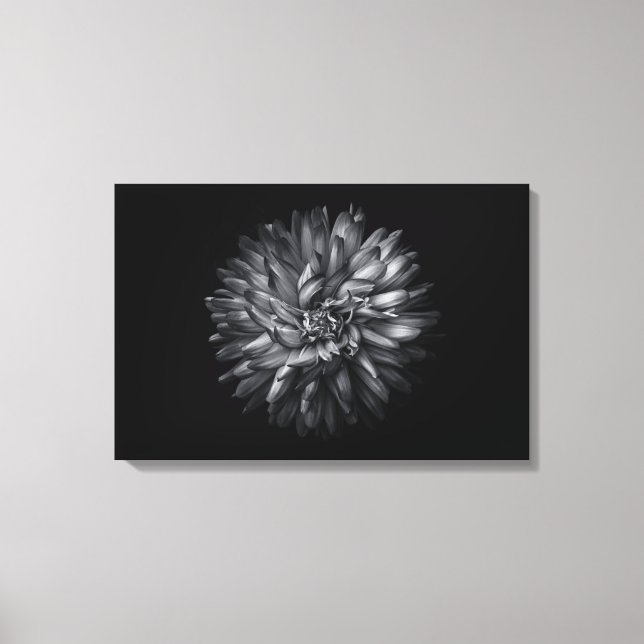 Lienzo Flores de jardín en blanco y negro 20 (Anverso)