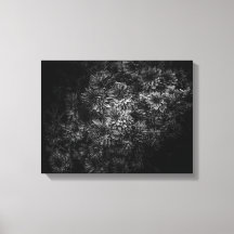 Flores de jardín en blanco y negro nº 29