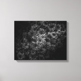 Lienzo Flores de jardín en blanco y negro nº 29