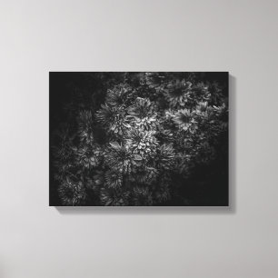 Lienzo Flores de jardín en blanco y negro nº 29