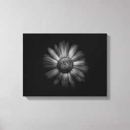 Lienzo Flores de jardín en blanco y negro nº 31