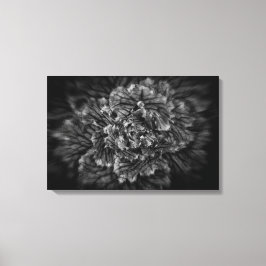 Lienzo Flores de jardín en blanco y negro nº 42 Flow