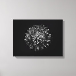 Lienzo Flores de jardín en blanco y negro nº 53