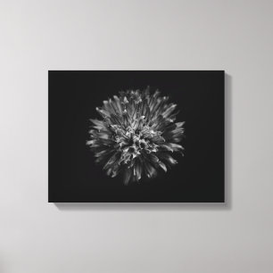 Lienzo Flores de jardín en blanco y negro nº 53
