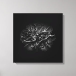 Lienzo Flores de jardín en blanco y negro nº 67