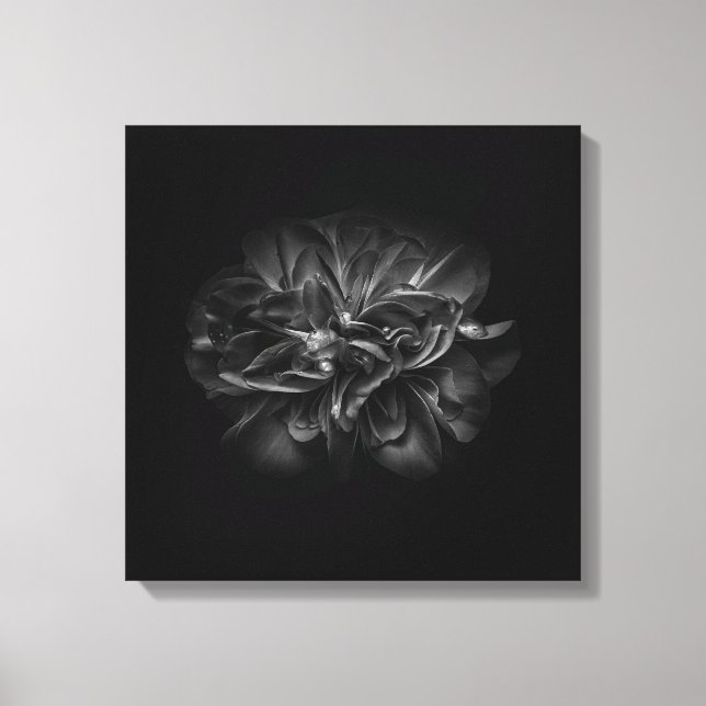 Lienzo Flores de jardín en blanco y negro nº 67 (Anverso)