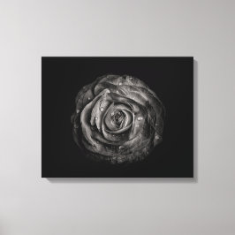 Lienzo Flores de jardín en blanco y negro nº 72