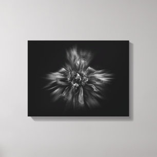 Lienzo Flores de jardín en blanco y negro núm. 49 Flow