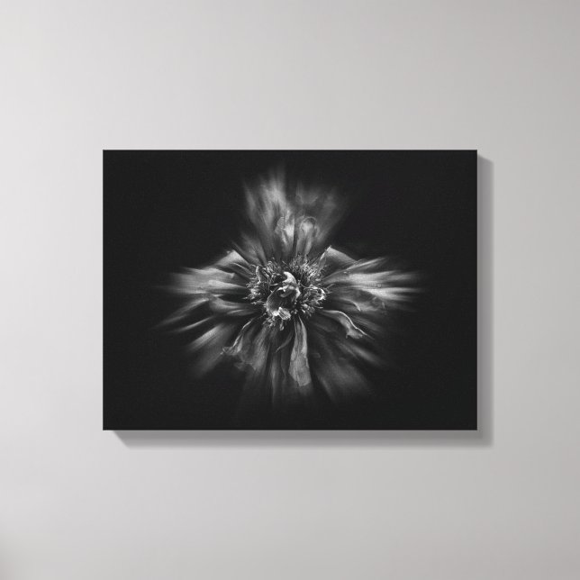 Lienzo Flores de jardín en blanco y negro núm. 49 Flow (Anverso)