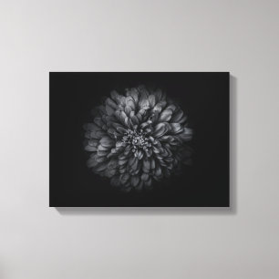Lienzo Flores de jardín en blanco y negro núm. 68