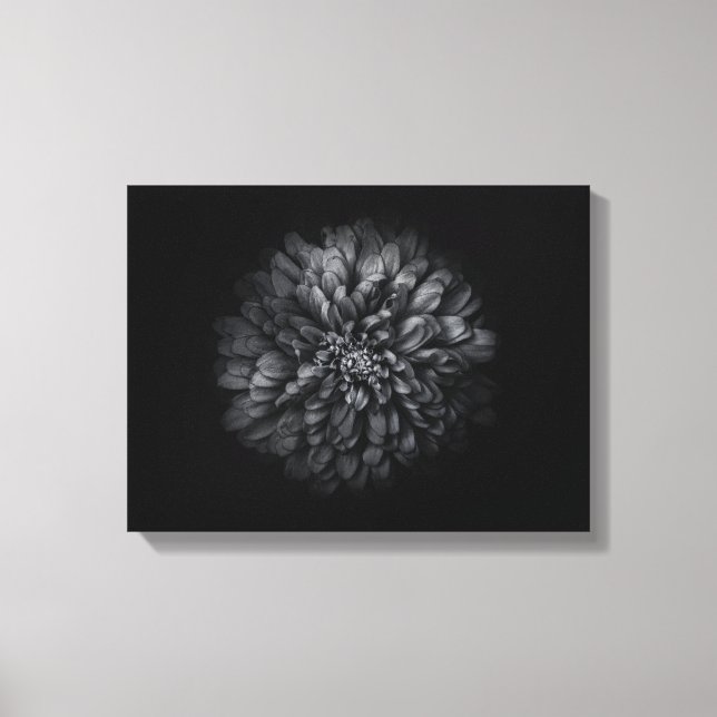 Lienzo Flores de jardín en blanco y negro núm. 68 (Anverso)