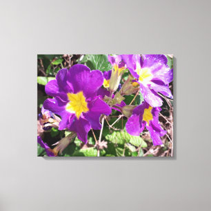 Lienzo Flores de jardín morado