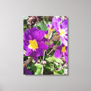 Lienzo Flores de jardín morado