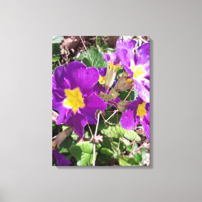 Lienzo Flores de jardín morado (Anverso)