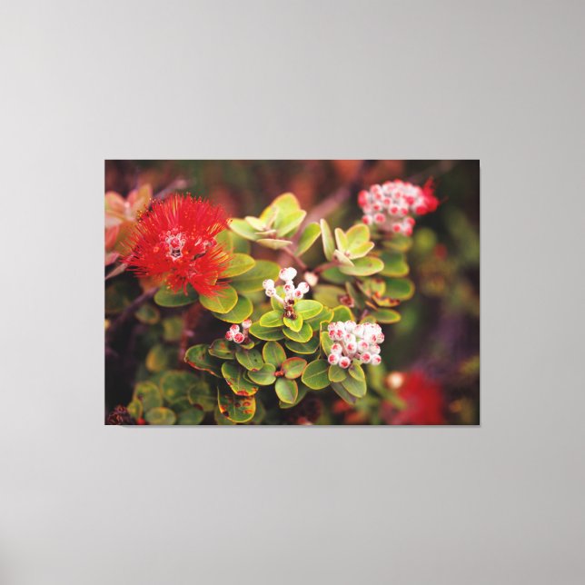 Lienzo Flores de Lehua en volcanes de Hawái (Anverso)