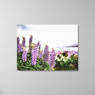Lienzo Flores de Lupins púrpura : tela neozelandesa