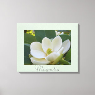 Lienzo Flores de magnolia blanca Fotografía de la natural