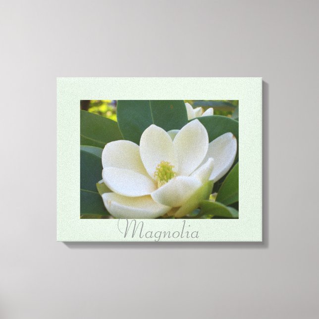Lienzo Flores de magnolia blanca Fotografía de la natural (Anverso)