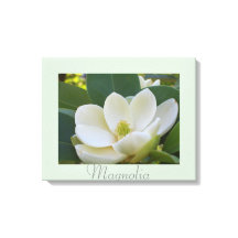 Flores de magnolia blanca Fotografía de la natural
