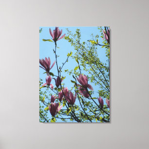Lienzo flores de magnolia púrpura primavera en cielo azul