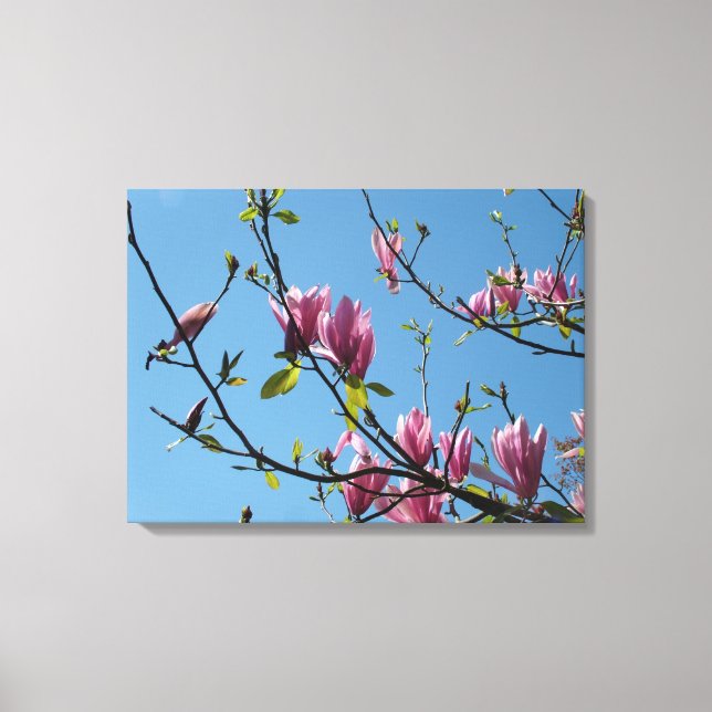 Lienzo flores de magnolia púrpura primavera en cielo azul (Anverso)