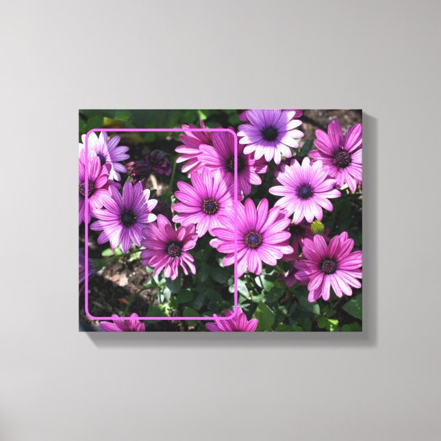 Lienzo Flores de margarita africana crean su propia foto (Anverso)