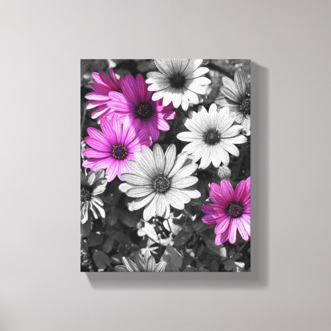 Lienzo Flores de margarita africana de color parcial (Anverso)