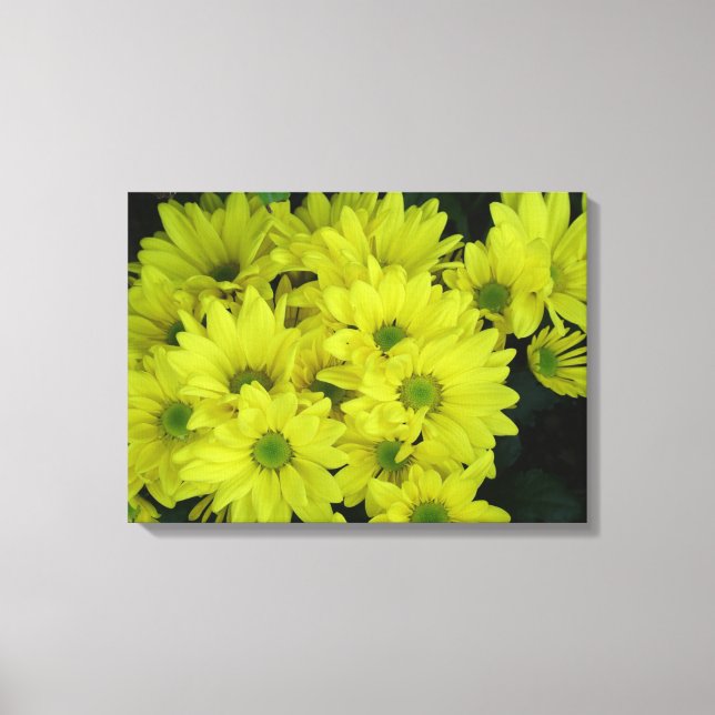 Lienzo flores de margarita amarilla (Anverso)