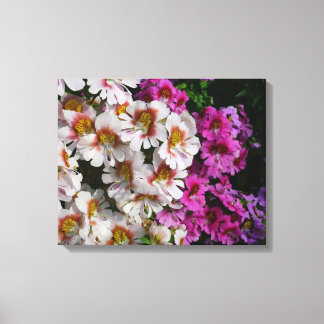 Lienzo Flores de mariposa de rosa blanco y morado