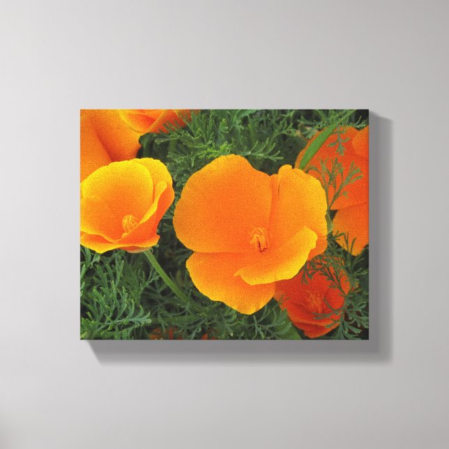 Lienzo Flores de naranja California (Anverso)