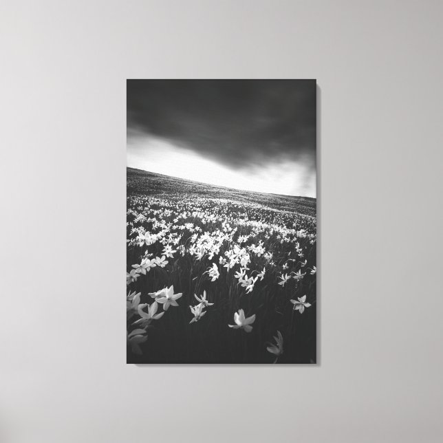 Lienzo Flores de Narciso en la montaña Golica, Eslovenia (Anverso)