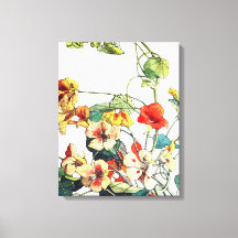 Flores de nasturcio en el jardín Art Nouveau
