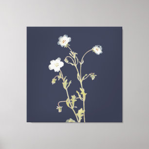 Lienzo Flores de Nemophila