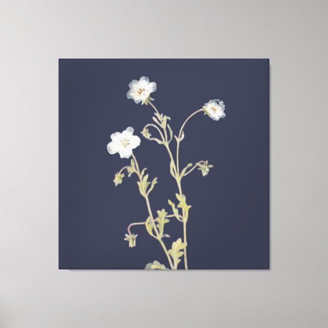 Lienzo Flores de Nemophila (Anverso)