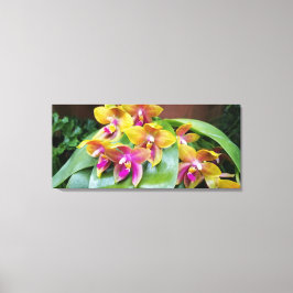 Lienzo Flores de orquídeas amarillas y rosas