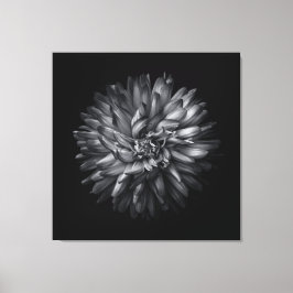 Lienzo Flores De Patio Trasero En Blanco Y Negro 20