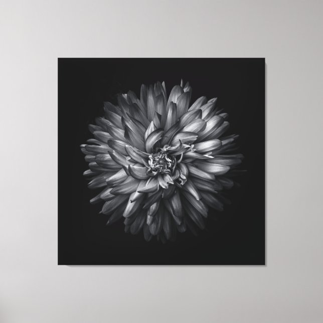 Lienzo Flores De Patio Trasero En Blanco Y Negro 20 (Anverso)
