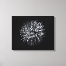 Lienzo Flores De Patio Trasero En Blanco Y Negro 20
