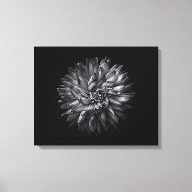 Lienzo Flores De Patio Trasero En Blanco Y Negro 20 (Anverso)