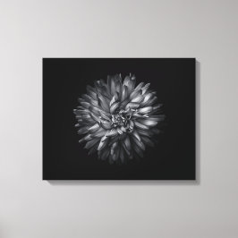 Lienzo Flores De Patio Trasero En Blanco Y Negro 20