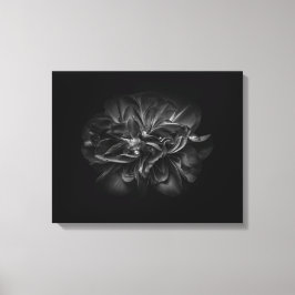 Lienzo Flores De Patio Trasero En Blanco Y Negro 67