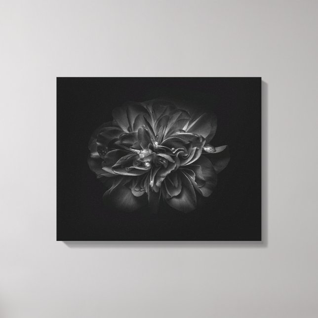 Lienzo Flores De Patio Trasero En Blanco Y Negro 67 (Anverso)
