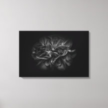 Flores De Patio Trasero En Blanco Y Negro 67
