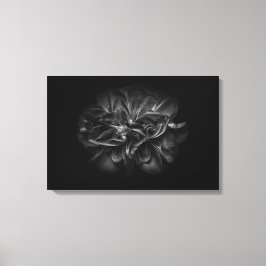 Lienzo Flores De Patio Trasero En Blanco Y Negro 67