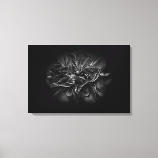 Lienzo Flores De Patio Trasero En Blanco Y Negro 67 (Anverso)
